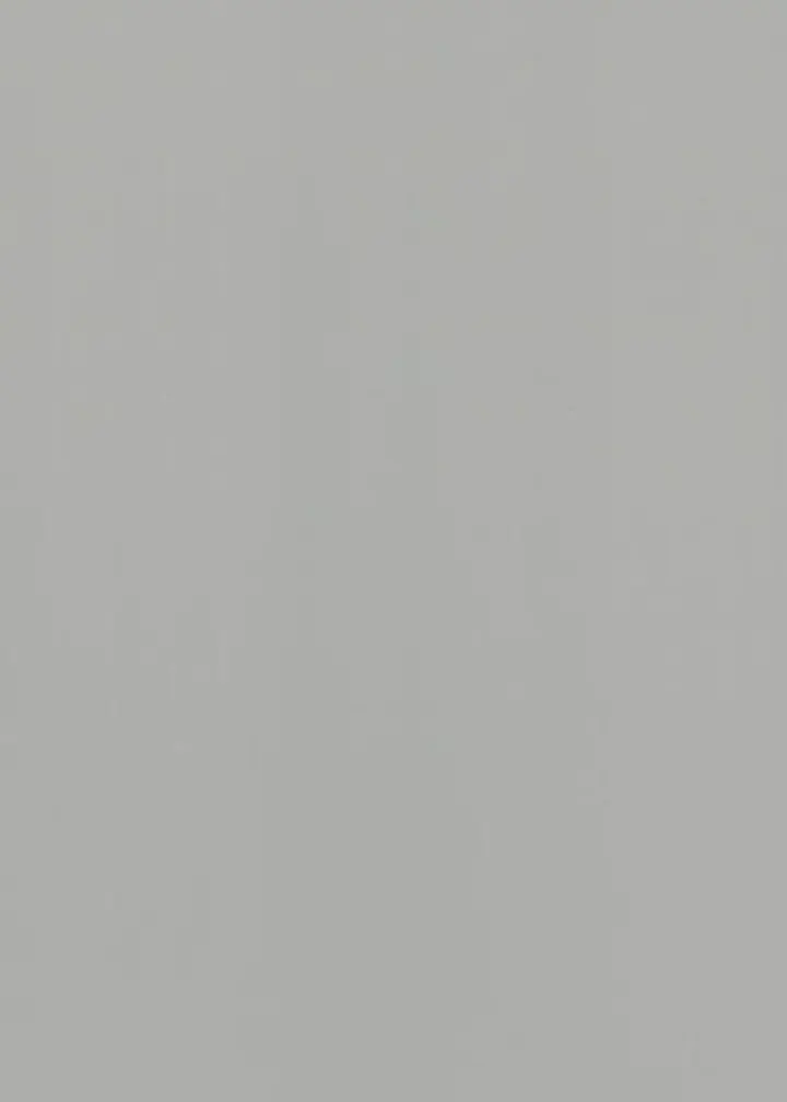 Fog Gray SM3